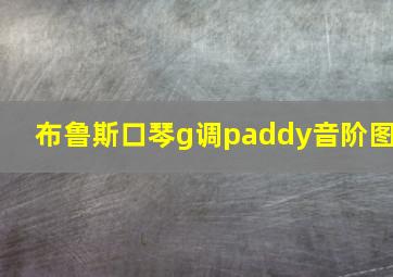 布鲁斯口琴g调paddy音阶图