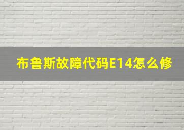 布鲁斯故障代码E14怎么修