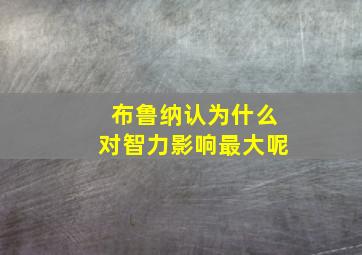 布鲁纳认为什么对智力影响最大呢