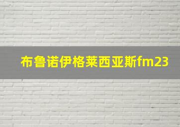 布鲁诺伊格莱西亚斯fm23