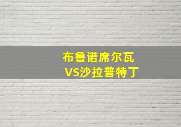 布鲁诺席尔瓦VS沙拉普特丁