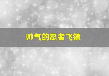 帅气的忍者飞镖