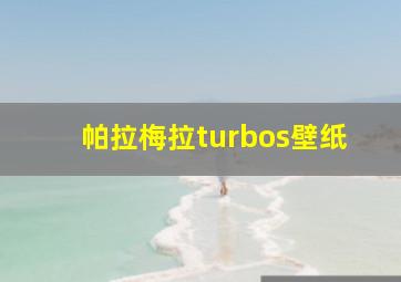 帕拉梅拉turbos壁纸