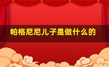 帕格尼尼儿子是做什么的