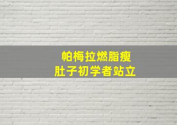 帕梅拉燃脂瘦肚子初学者站立