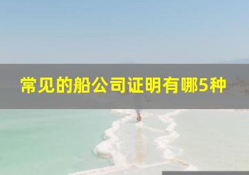 常见的船公司证明有哪5种