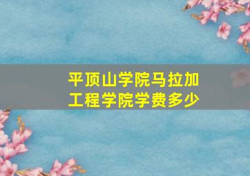 平顶山学院马拉加工程学院学费多少