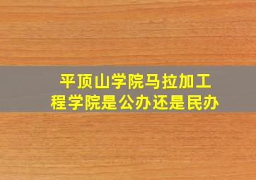 平顶山学院马拉加工程学院是公办还是民办