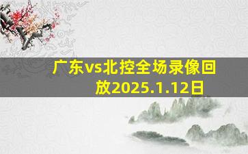 广东vs北控全场录像回放2025.1.12日