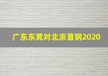 广东东莞对北京首钢2020