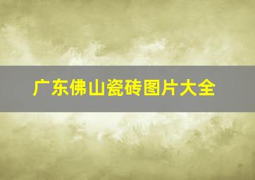 广东佛山瓷砖图片大全