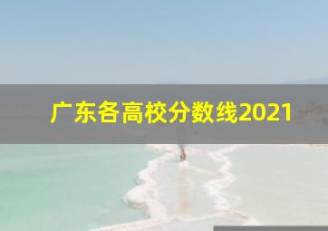 广东各高校分数线2021