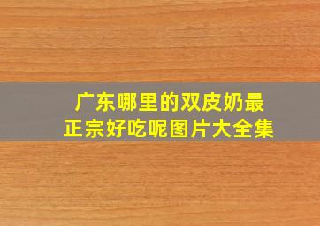 广东哪里的双皮奶最正宗好吃呢图片大全集