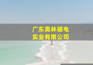 广东奥林磁电实业有限公司