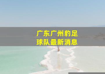 广东广州豹足球队最新消息