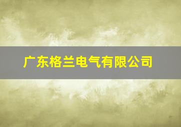 广东格兰电气有限公司