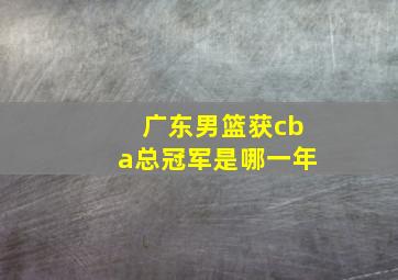 广东男篮获cba总冠军是哪一年