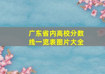 广东省内高校分数线一览表图片大全