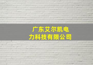 广东艾尔凯电力科技有限公司