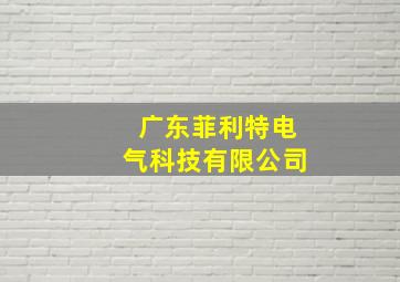 广东菲利特电气科技有限公司