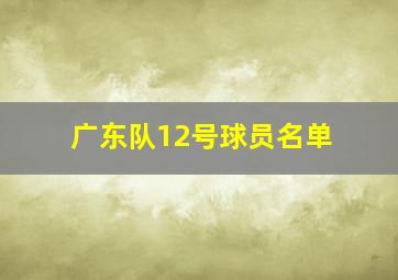 广东队12号球员名单