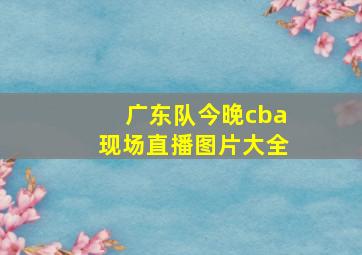 广东队今晚cba现场直播图片大全