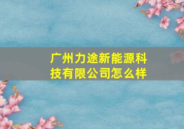 广州力途新能源科技有限公司怎么样