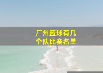 广州篮球有几个队比赛名单