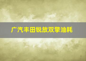 广汽丰田锐放双擎油耗