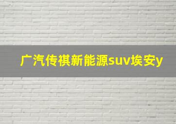 广汽传祺新能源suv埃安y