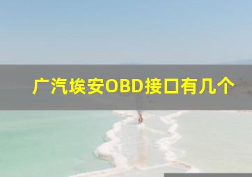 广汽埃安OBD接口有几个