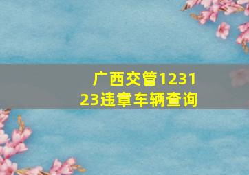 广西交管123123违章车辆查询