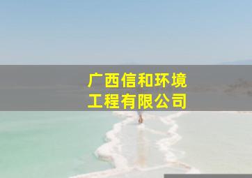 广西信和环境工程有限公司