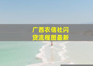 广西农信社闪贷流程图最新