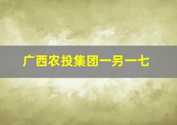 广西农投集团一另一七