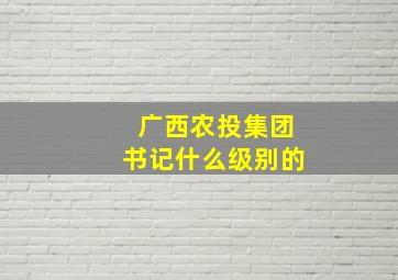 广西农投集团书记什么级别的