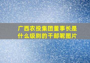 广西农投集团董事长是什么级别的干部呢图片