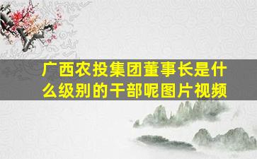 广西农投集团董事长是什么级别的干部呢图片视频