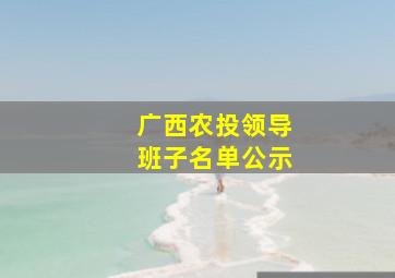 广西农投领导班子名单公示