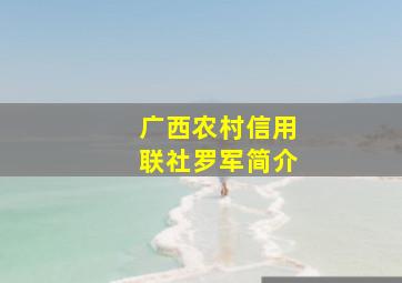 广西农村信用联社罗军简介