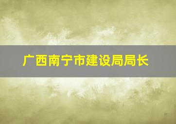 广西南宁市建设局局长