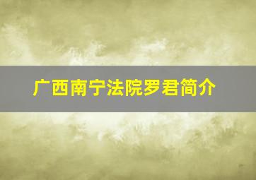 广西南宁法院罗君简介