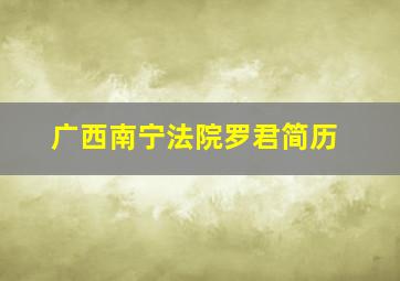 广西南宁法院罗君简历