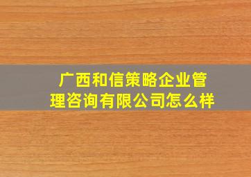 广西和信策略企业管理咨询有限公司怎么样