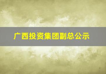 广西投资集团副总公示