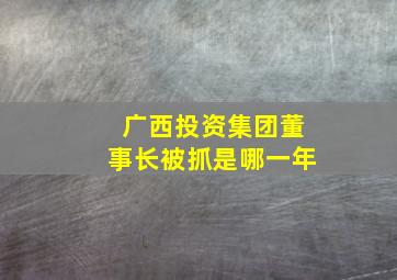 广西投资集团董事长被抓是哪一年