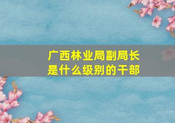 广西林业局副局长是什么级别的干部