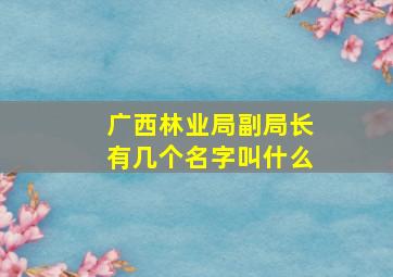 广西林业局副局长有几个名字叫什么