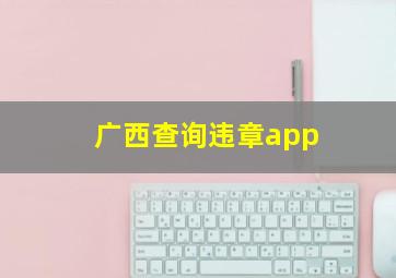 广西查询违章app