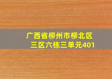 广西省柳州市柳北区三区六栋三单元401